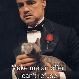 Don’t like the price? Make me an offer